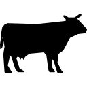 beef cow icon for steak like chew